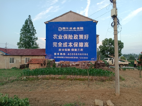 安福墙体广告为何受追捧？